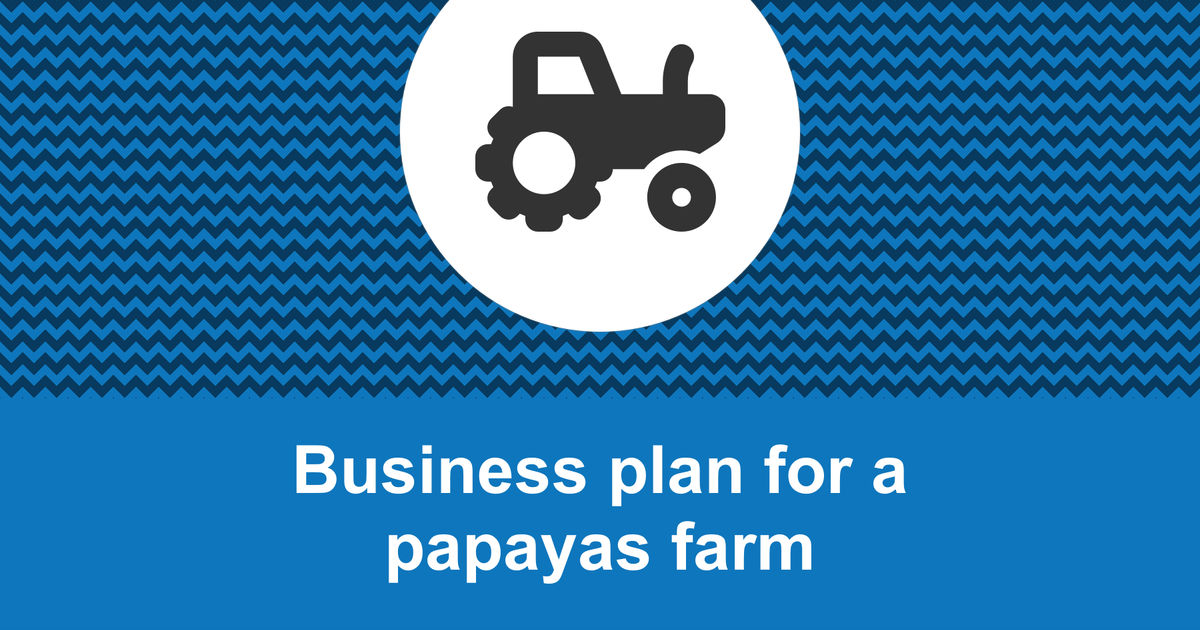 How to write a business plan for a papaya farm?