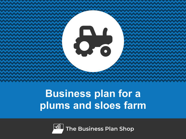 plums and sloes farm business plan