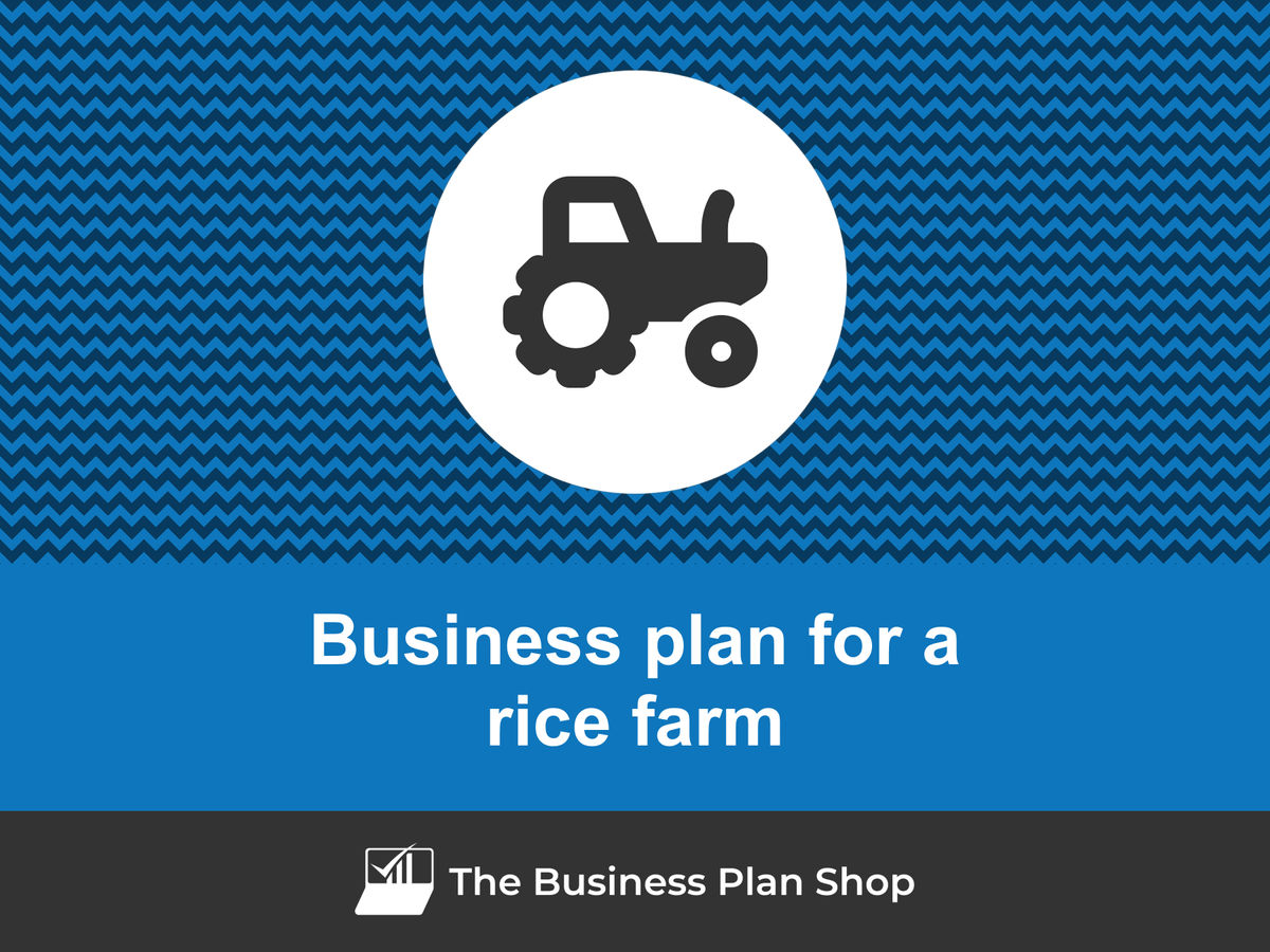 free business plan for rice farming