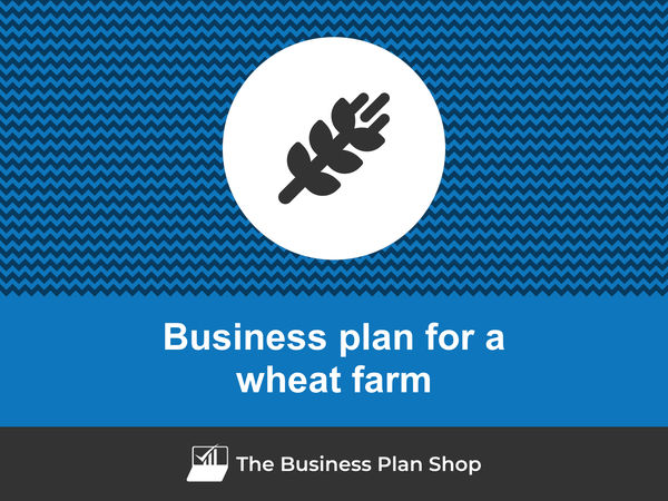 business plan for wheat production