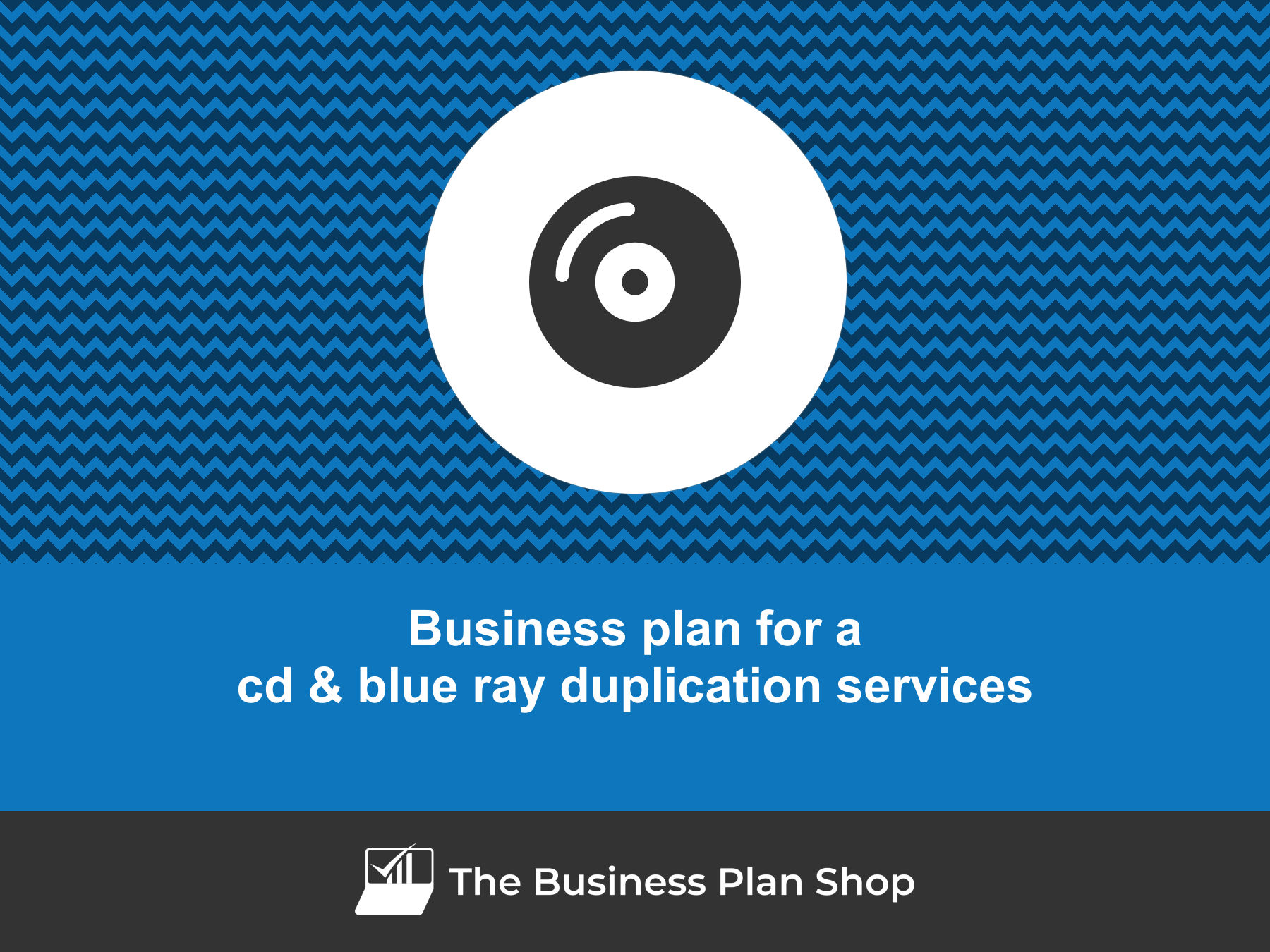 How to write a business plan for a cd & blue ray duplication services?