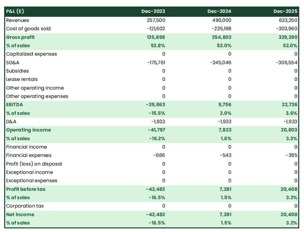 example of projected profit and loss statement in a socks and tights manufacturer business plan