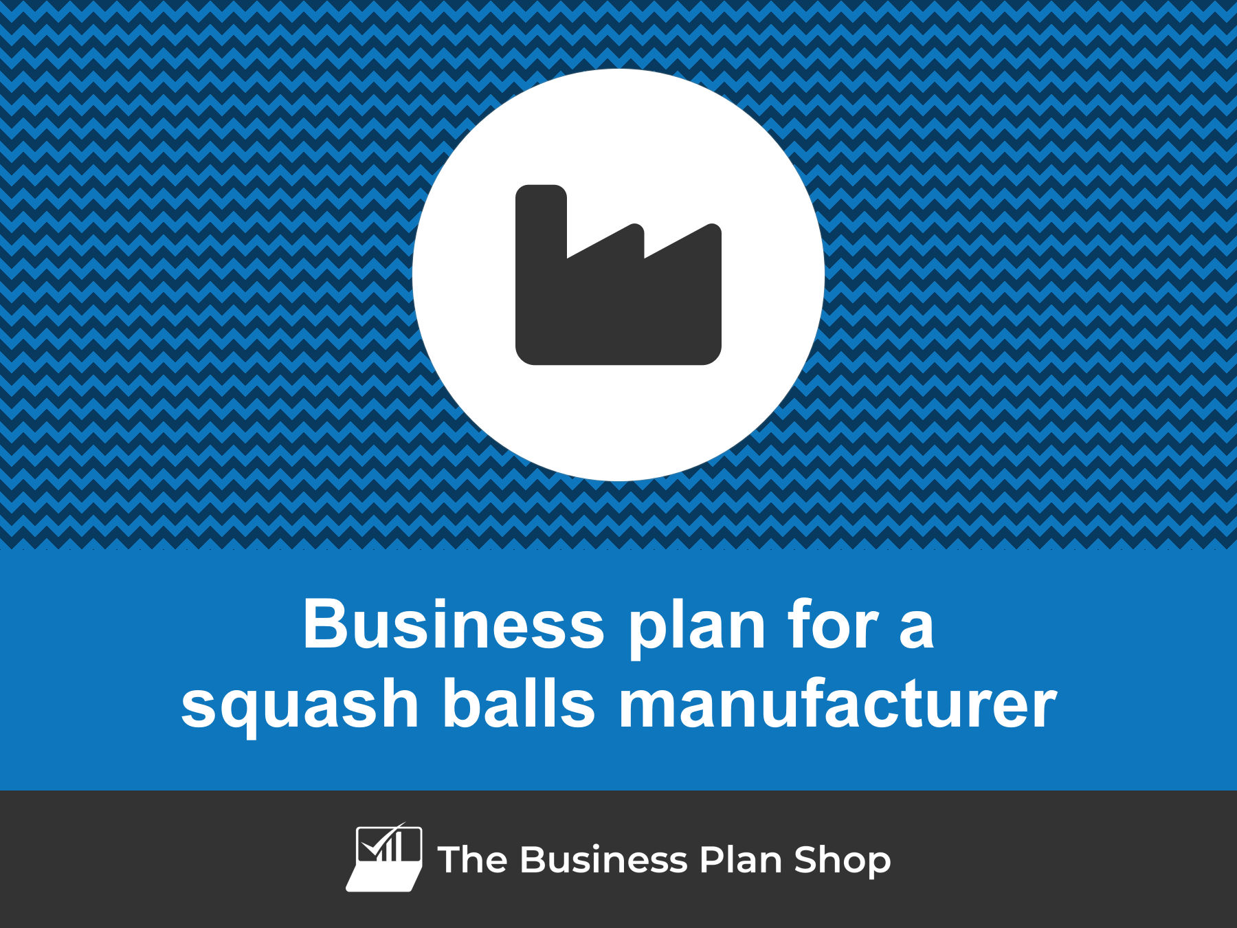How to write a business plan for a squash ball manufacturer?