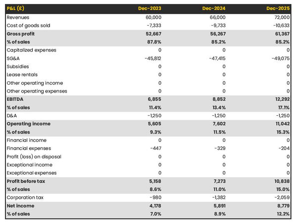 projected profit and loss statement example in a wooden toy manufacturer business plan