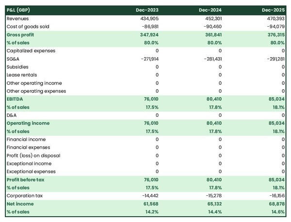 example of projected profit and loss statement in a electrical company business plan