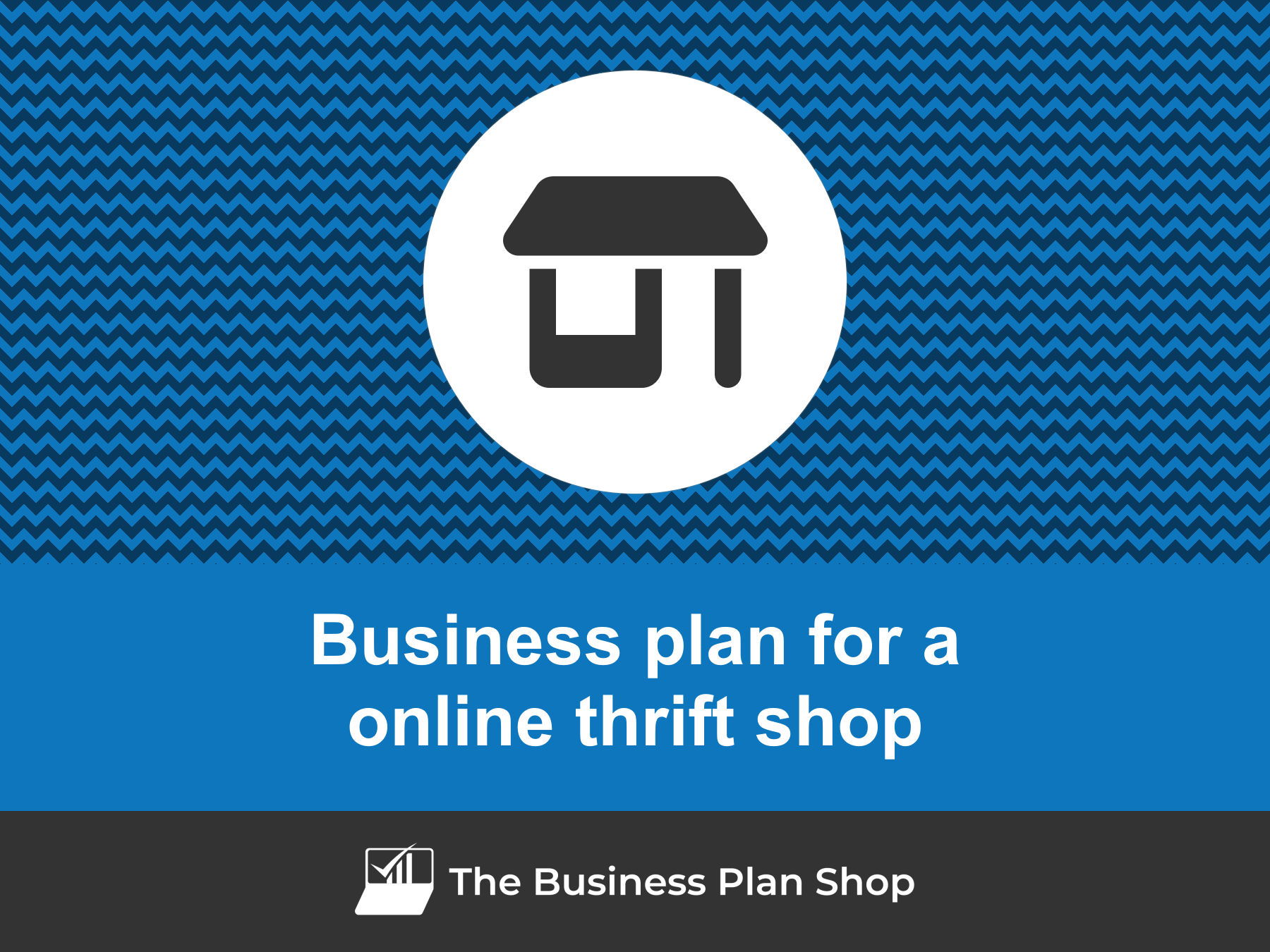 how to write a business plan for thrift store