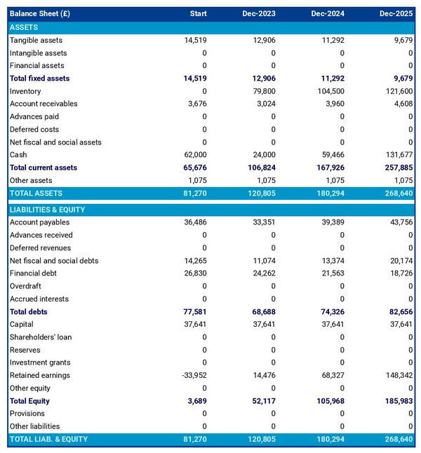 projected balance sheet in a online thrift shop business plan example