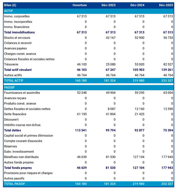 business plan de boutique éphémère avec exemple de bilan prévisionnel