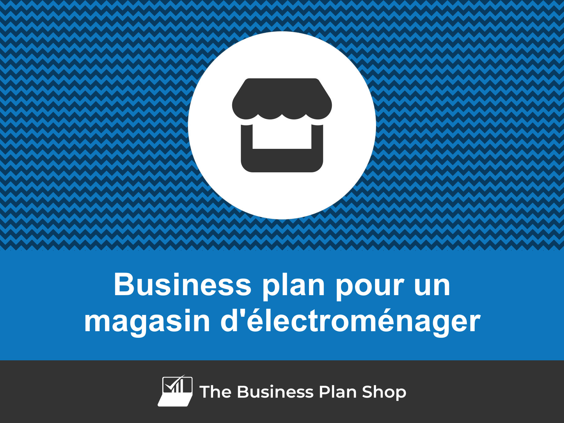 business plan magasin electromenager