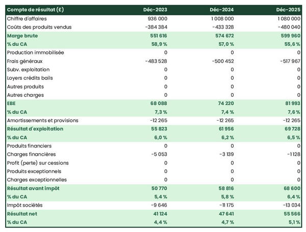 business plan de magasin de luminaires : exemple de compte de résultat prévisionnel