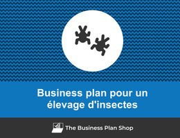 Business plan d'un élevage d'insectes
