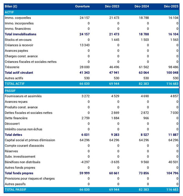 exemple de bilan prévisionnel dans un business plan d'élevage d'oies 