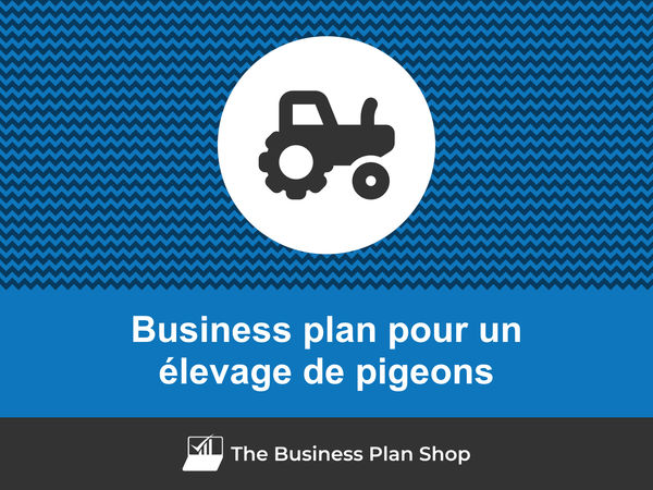 business plan élevage de pigeons