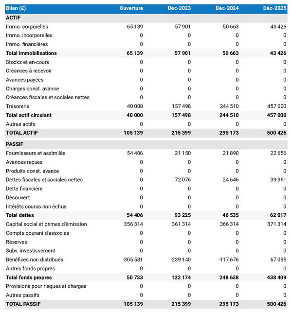 exemple de bilan prévisionnel dans un business plan de droguerie