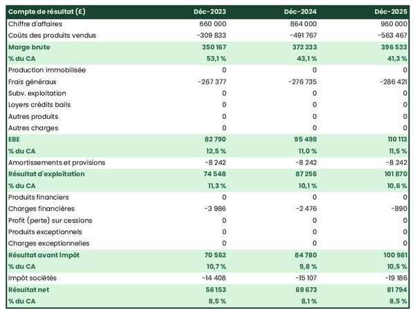 exemple de compte de résultat prévisionnel dans un business plan magasin informatique