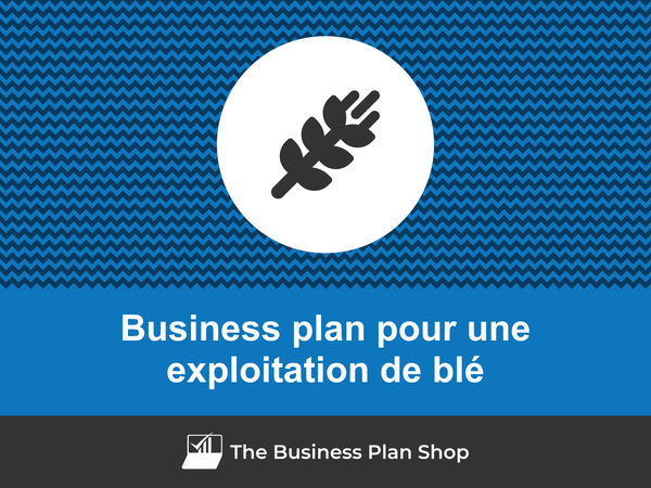 business plan exploitation de blé
