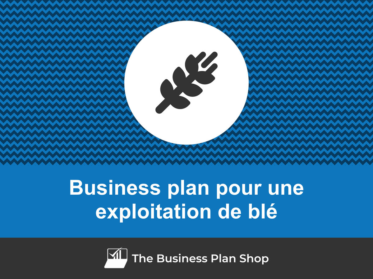 Comment faire un business plan pour une exploitation de blé