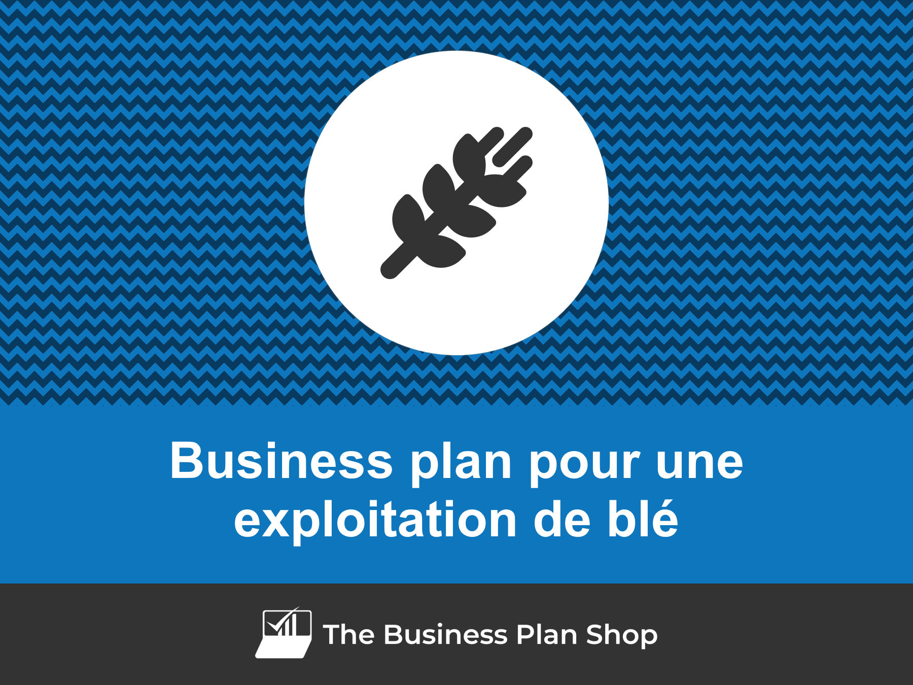 Comment faire un business plan pour une exploitation de blé