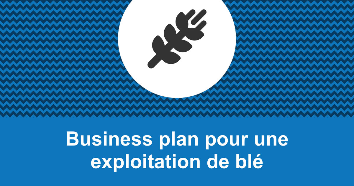 Comment faire un business plan pour une exploitation de blé