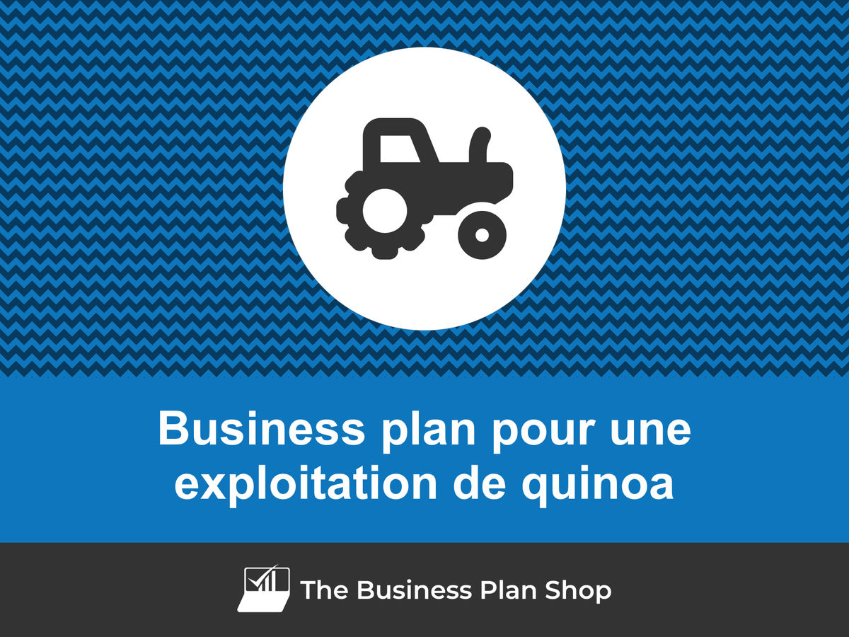 Comment faire un business plan pour une exploitation de quinoa