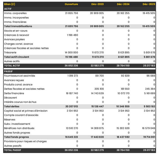 exemple de bilan prévisionnel dans un business plan d'exploitation de lentilles