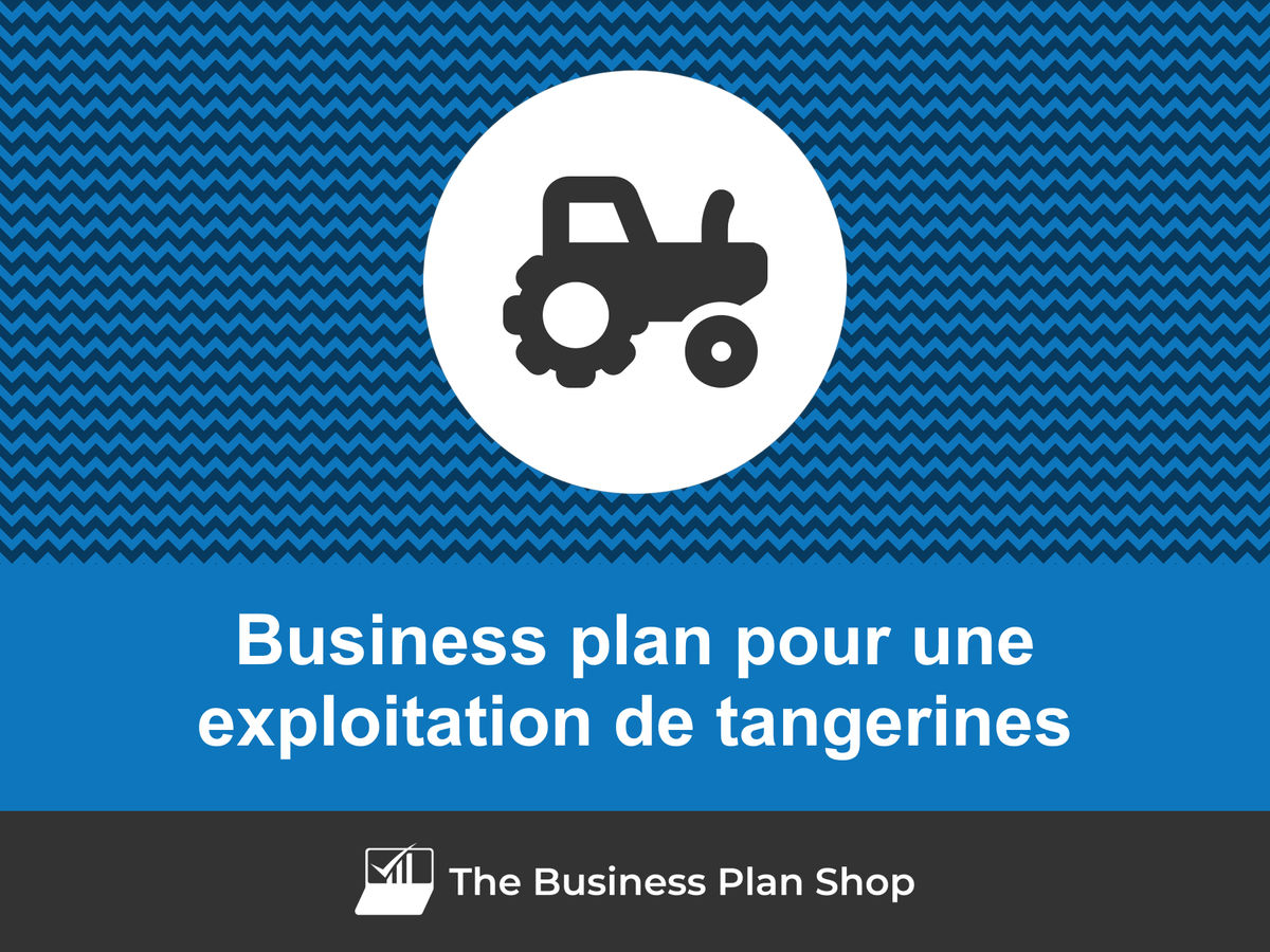 Comment faire un business plan pour une exploitation de tangerines