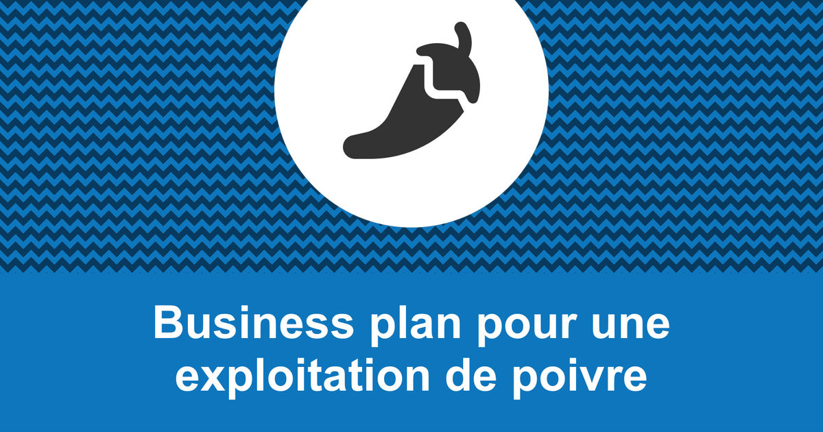 Comment faire un business plan pour une exploitation de poivre