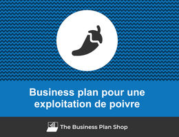 Business plan d'une exploitation de poivre