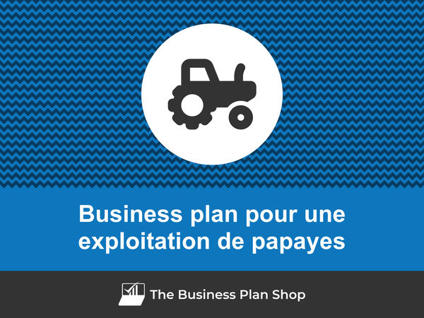 business plan exploitation de papayes