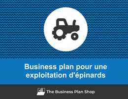 Comment faire un business plan pour une exploitation d'épinards&nbsp;?