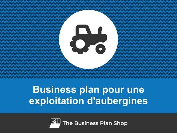 business plan exploitation d'aubergines