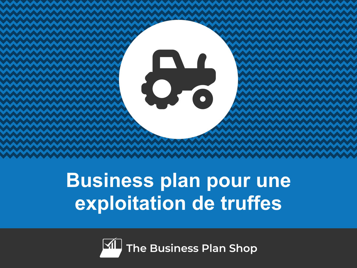 Comment faire un business plan pour une exploitation de truffes