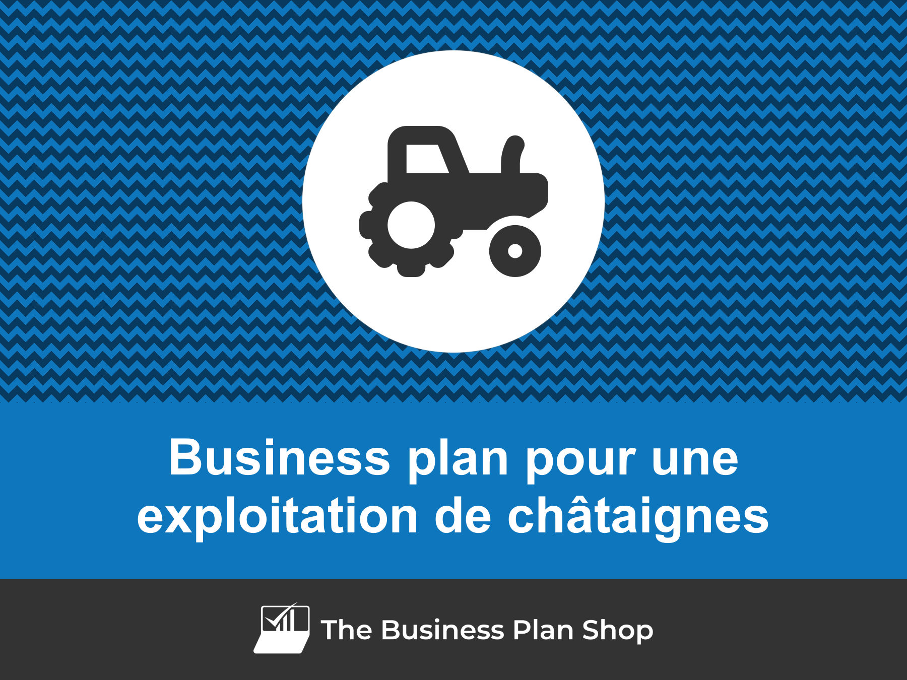 Comment faire un business plan pour une exploitation de châtaignes