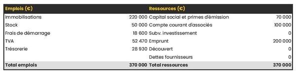 plan de financement initial dans un business plan d'exploitation de châtaignes