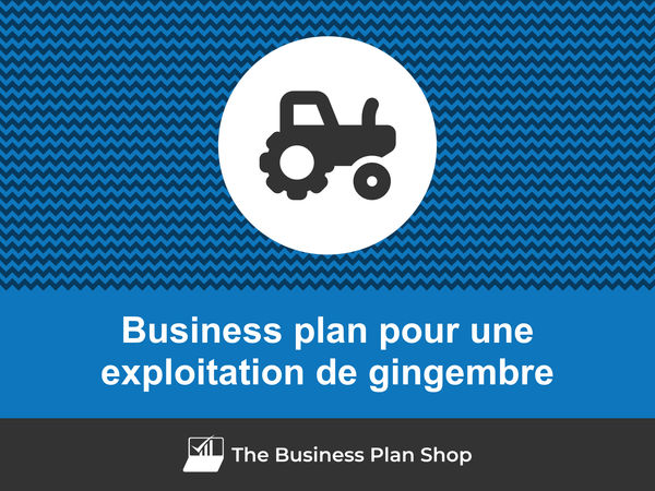 business plan exploitation de gingembre