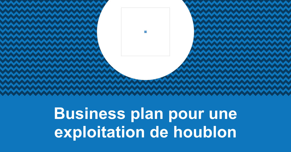Comment faire un business plan pour une exploitation de houblon