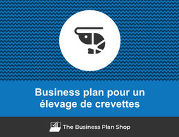 Comment faire un business plan pour un élevage de crevettes&nbsp;?