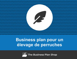 Business plan d'un élevage de perruches