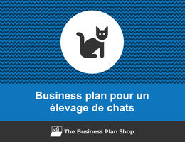 Business plan d'un élevage de chats