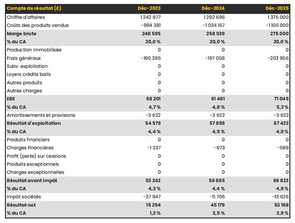 exemple de compte de résultat prévisionnel dans un business plan grossiste en poudre de cacao