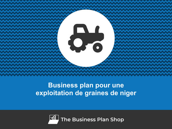 business plan exploitation de graines de niger
