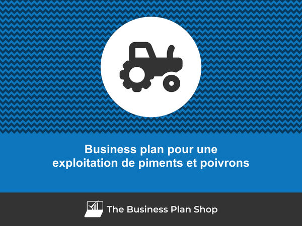 business plan exploitation de piments et poivrons