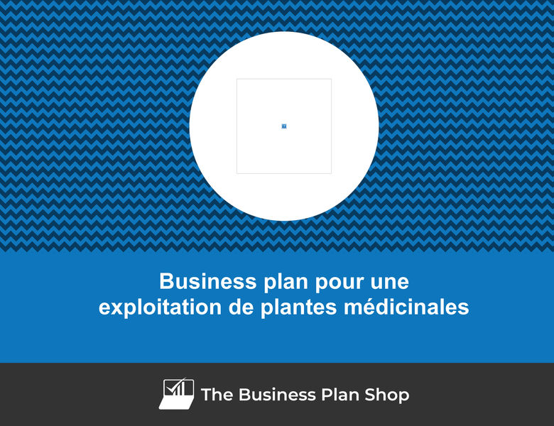 Comment faire un business plan pour une exploitation de gingembre