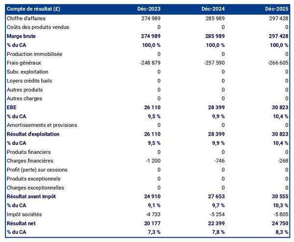 exemple de compte de résultat dans un business plan de bureau de courtage en pierres précieuses