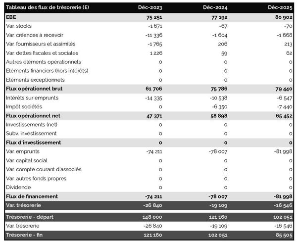 exemple de prévision de trésorerie dans un business plan de entreprise de recherche d'informations