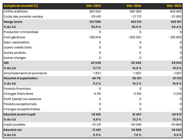 exemple de compte de résultat prévisionnel dans un business plan agence de développement informatique