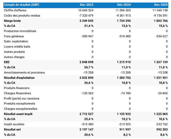 exemple de compte de résultat dans un business plan d'entreprise de location de voitures