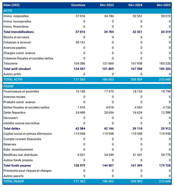 exemple de bilan prévisionnel dans un business plan d'entreprise de leasing d'avion