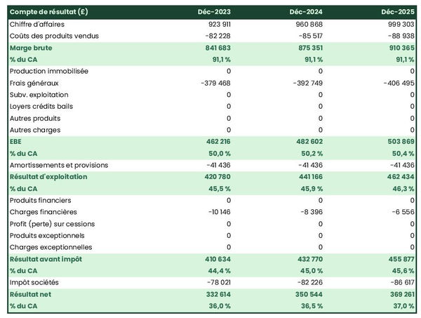 exemple de compte de résultat dans un business plan de bureau d'étude thermique