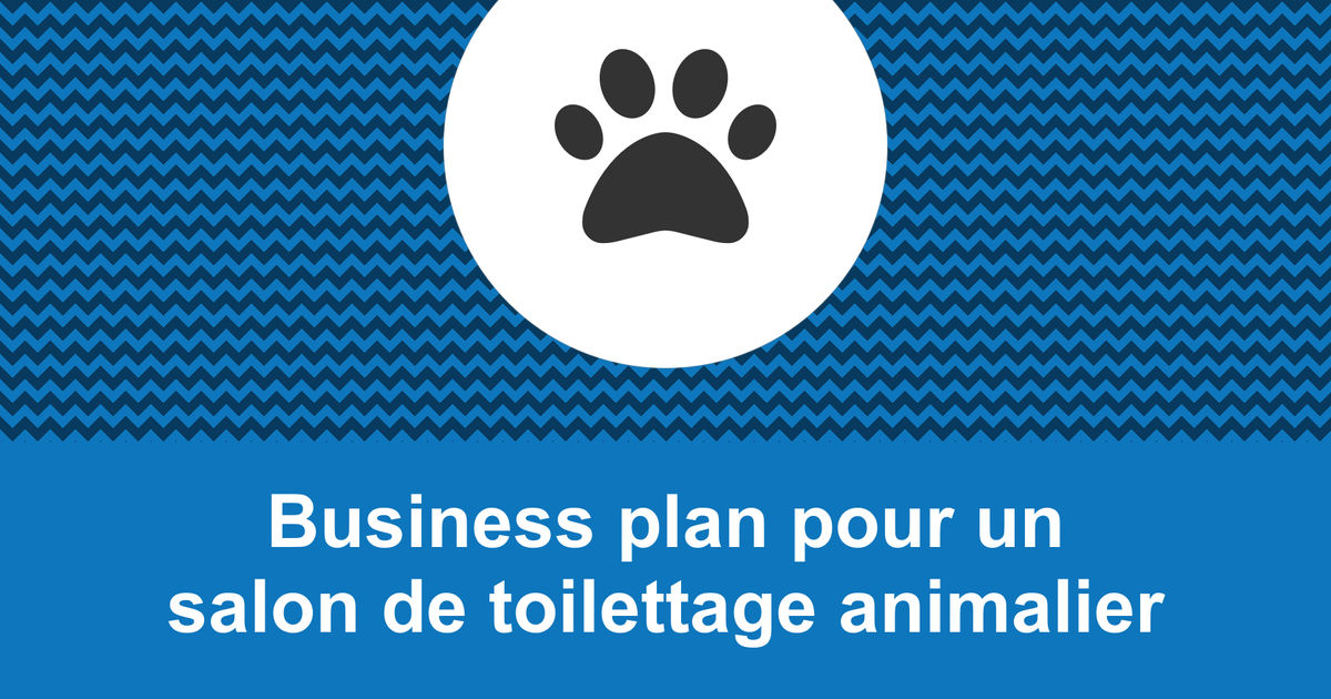 exemple business plan toilettage